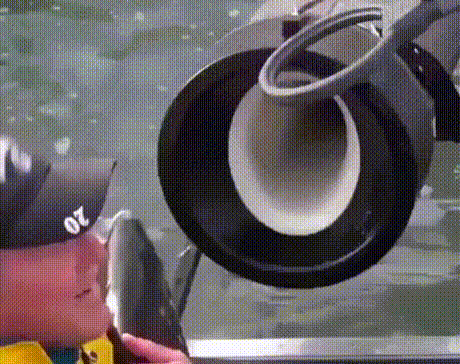 http://upforme.ru/uploads/001a/1f/30/18/t138403.gif