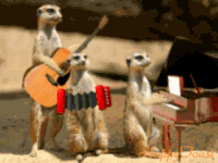http://upforme.ru/uploads/001a/1f/30/18/t663715.gif