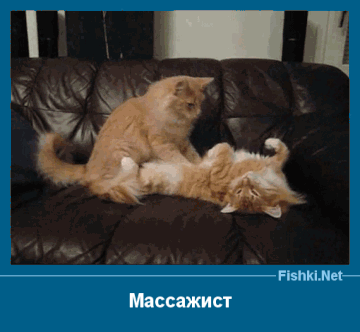 http://upforme.ru/uploads/001a/1f/30/6/t519113.gif