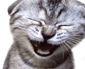 http://upforme.ru/uploads/001a/1f/30/6/t813779.gif