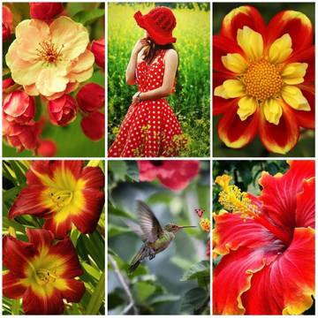 http://upforme.ru/uploads/001a/28/01/16/t238636.jpg