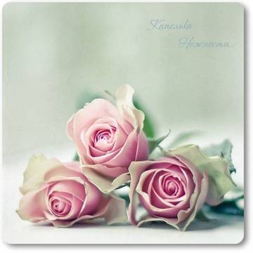 http://upforme.ru/uploads/001a/28/01/16/t783737.jpg