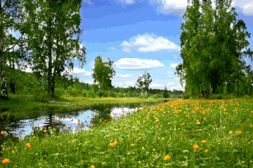 http://upforme.ru/uploads/001a/28/01/16/t873293.gif