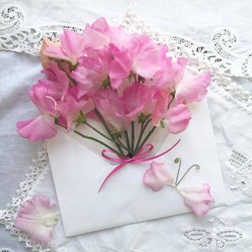http://upforme.ru/uploads/001a/28/01/16/t905222.jpg