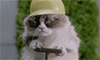 http://upforme.ru/uploads/001a/2b/20/45/379976.gif