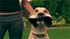 http://upforme.ru/uploads/001a/2b/20/45/911057.gif