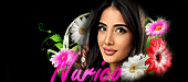 http://upforme.ru/uploads/001a/2b/20/45/t142030.gif