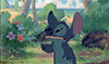 http://upforme.ru/uploads/001a/2b/20/45/t152660.gif