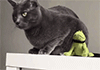 http://upforme.ru/uploads/001a/2b/20/45/t379439.gif
