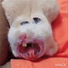 http://upforme.ru/uploads/001a/2b/20/45/t723175.gif