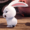http://upforme.ru/uploads/001a/2b/20/45/t787933.gif