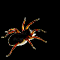 http://upforme.ru/uploads/001a/2b/20/45/t835040.gif