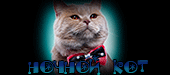http://upforme.ru/uploads/001a/2b/20/45/t994588.gif