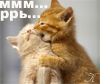 http://upforme.ru/uploads/001a/2b/20/67/t574744.jpg