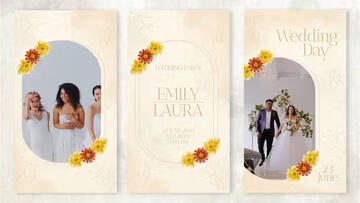 Project After Effects  3000  3100