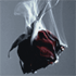 http://upforme.ru/uploads/001a/34/f6/3/47178.png