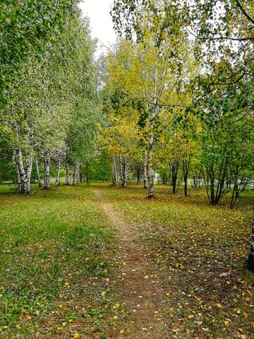 http://upforme.ru/uploads/001a/39/7c/109/t478643.jpg