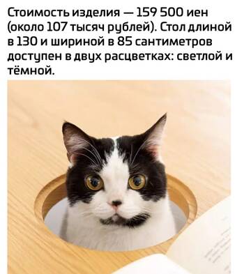 http://upforme.ru/uploads/001a/39/7c/109/t819296.jpg