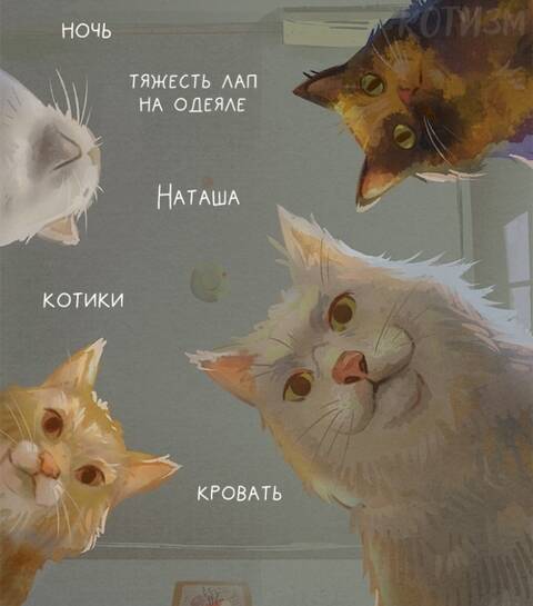 http://upforme.ru/uploads/001a/39/7c/124/t488667.jpg