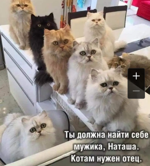 http://upforme.ru/uploads/001a/39/7c/124/t569055.png