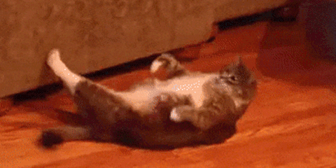 http://upforme.ru/uploads/001a/39/7c/124/t800410.gif