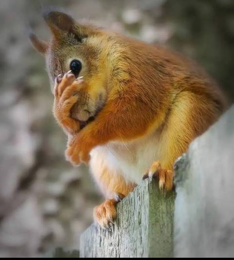 http://upforme.ru/uploads/001a/39/7c/124/t855314.jpg
