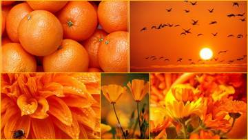 http://upforme.ru/uploads/001a/39/7c/142/t79869.jpg