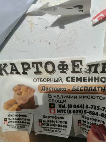 http://upforme.ru/uploads/001a/39/7c/155/t172571.jpg