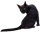 http://upforme.ru/uploads/001a/39/7c/155/t36805.png