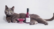 http://upforme.ru/uploads/001a/39/7c/155/t87449.jpg