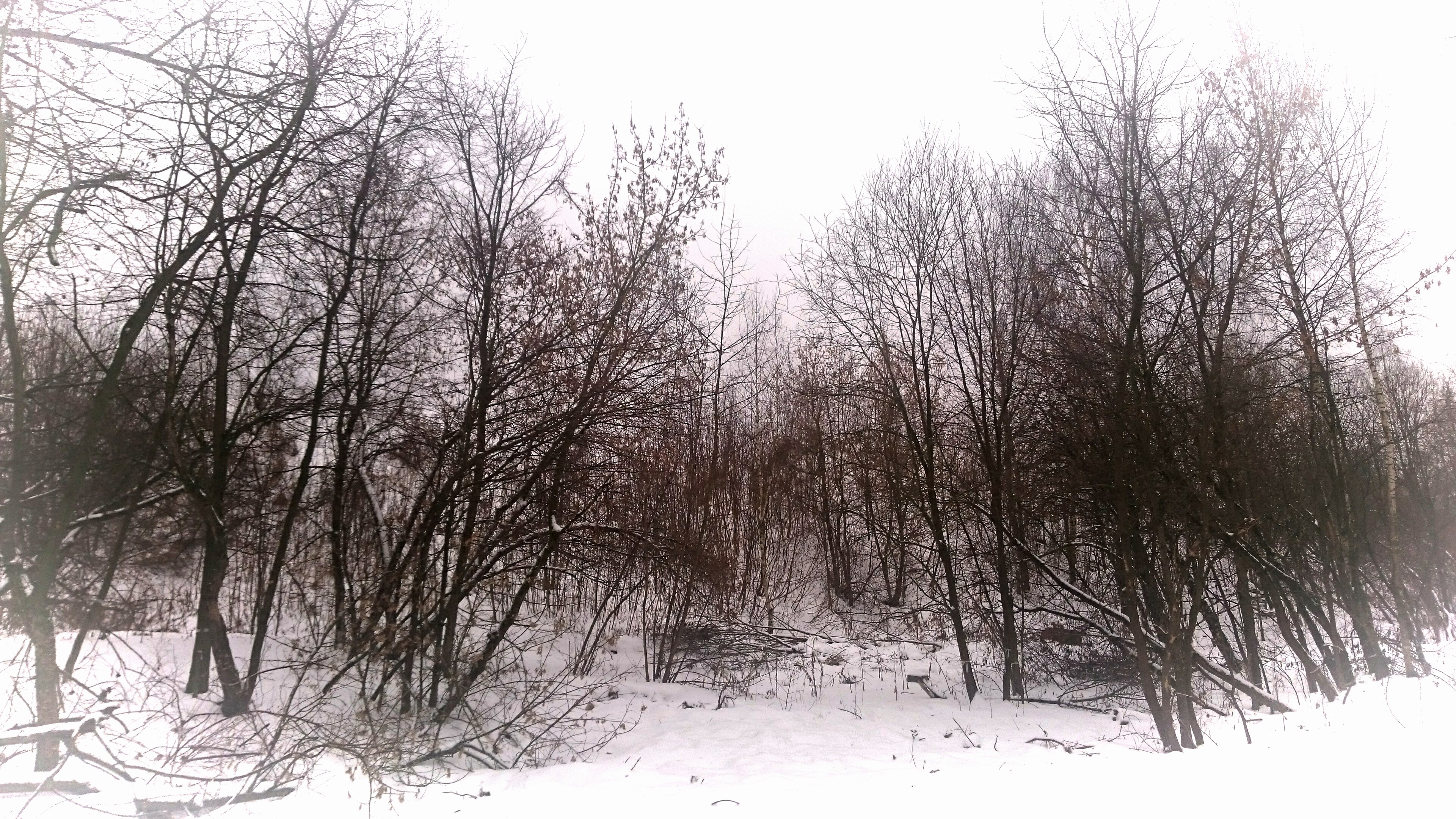http://upforme.ru/uploads/001a/39/7c/175/106985.jpg