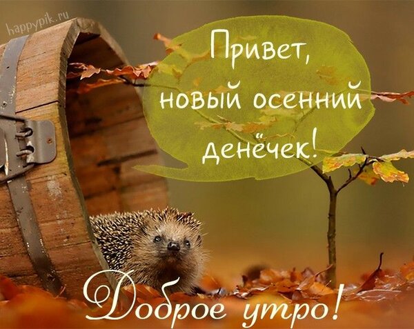 http://upforme.ru/uploads/001a/39/7c/175/112498.jpg