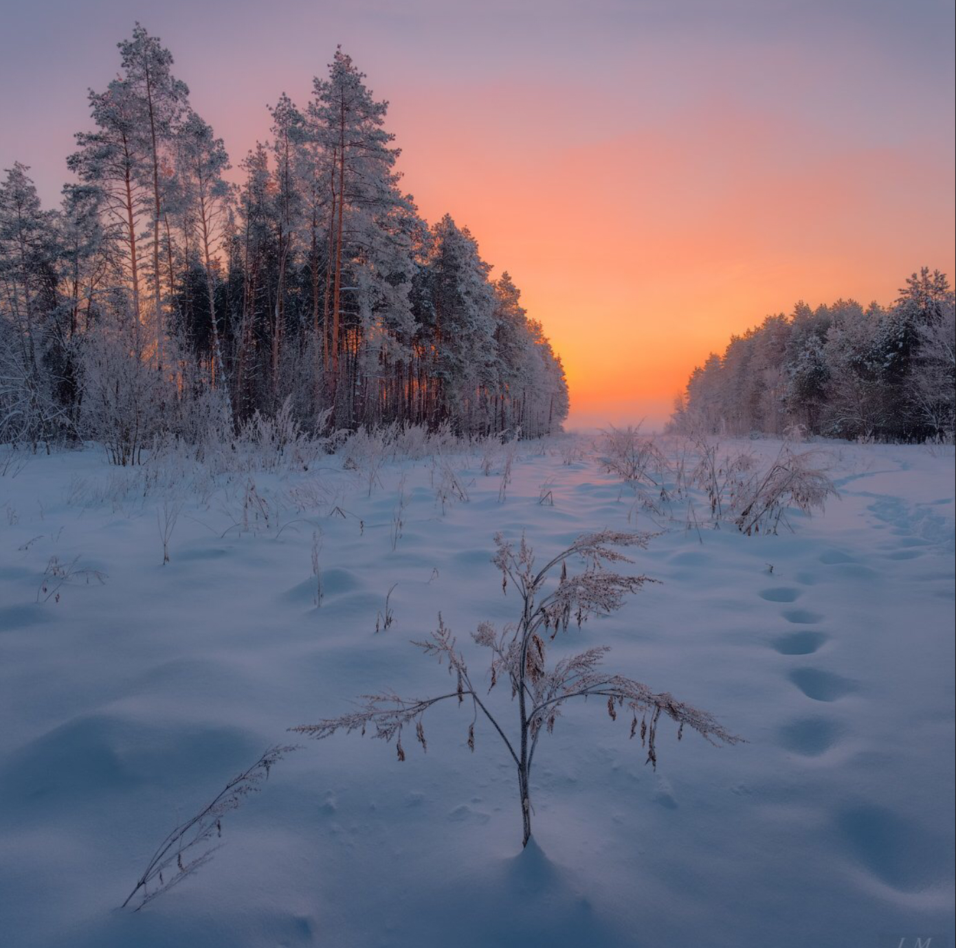 http://upforme.ru/uploads/001a/39/7c/175/125176.jpg