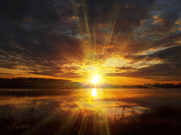 http://upforme.ru/uploads/001a/39/7c/175/128283.gif