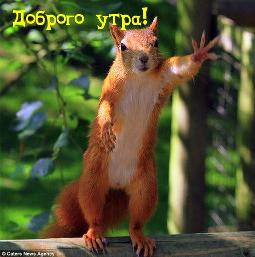 http://upforme.ru/uploads/001a/39/7c/175/354853.jpg