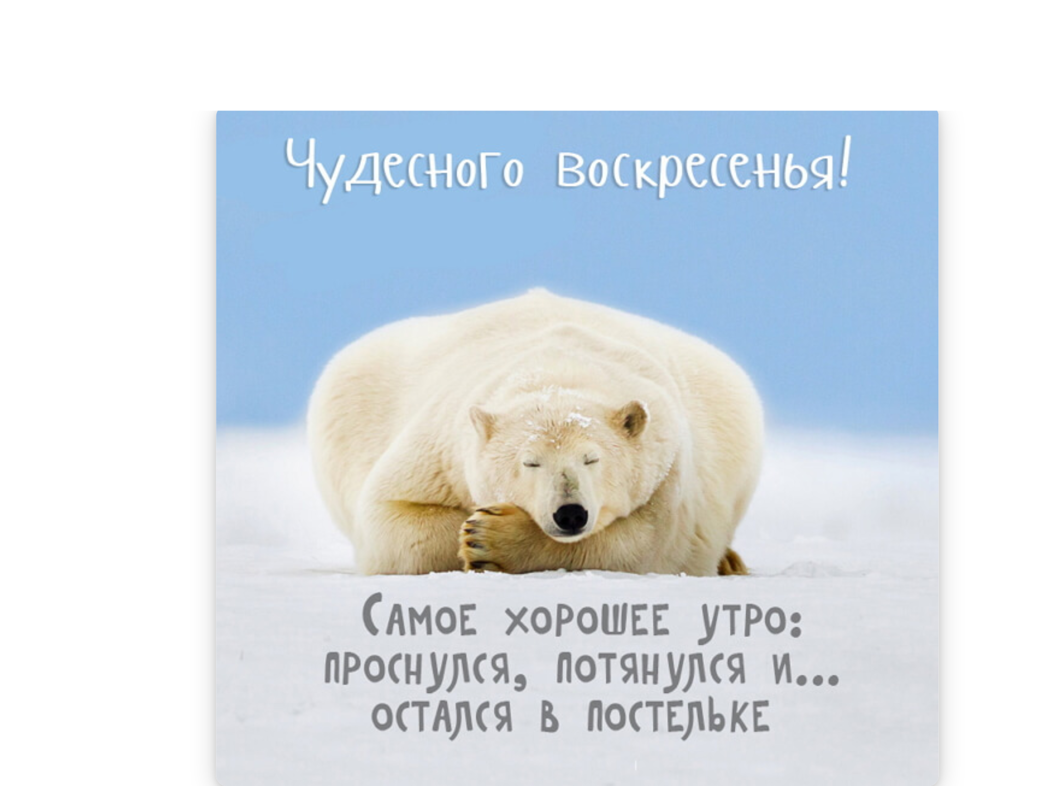 http://upforme.ru/uploads/001a/39/7c/175/379089.png