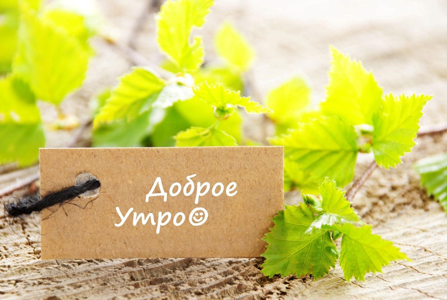 http://upforme.ru/uploads/001a/39/7c/175/476866.jpg