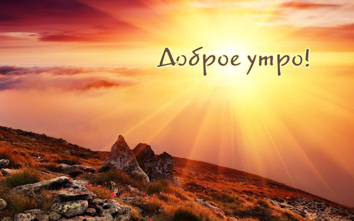 http://upforme.ru/uploads/001a/39/7c/175/538914.jpg