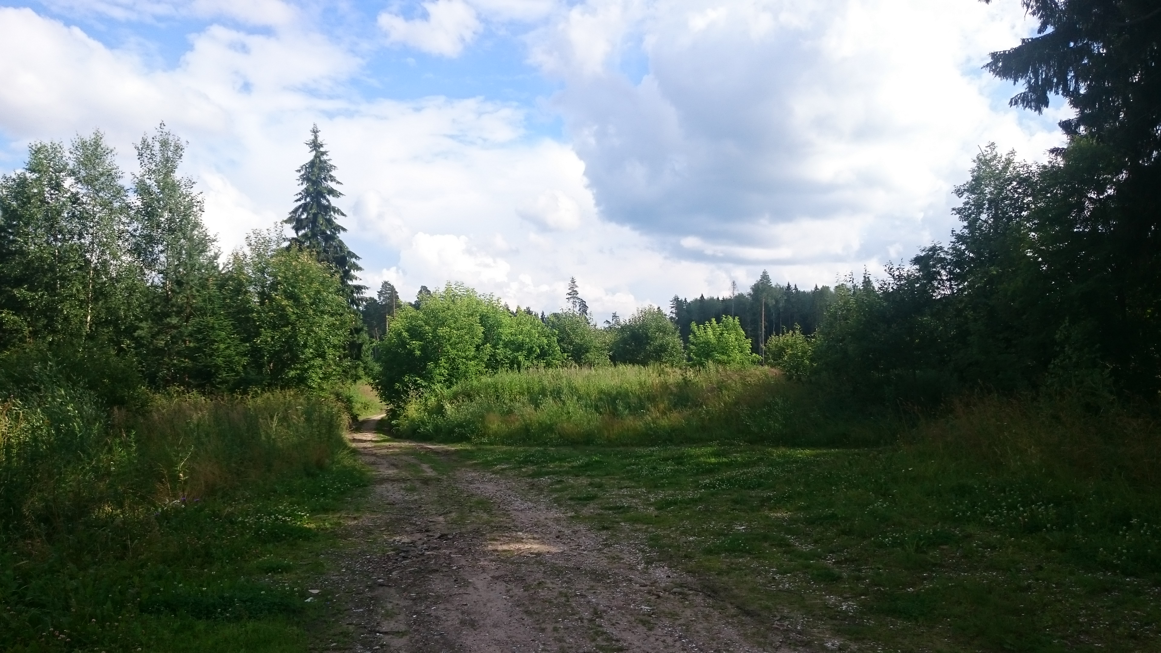 http://upforme.ru/uploads/001a/39/7c/175/547450.jpg