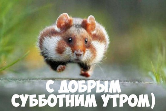 http://upforme.ru/uploads/001a/39/7c/175/611352.jpg