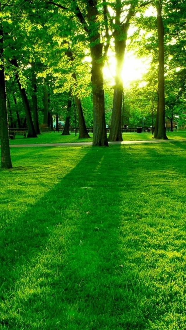 http://upforme.ru/uploads/001a/39/7c/175/66795.jpg