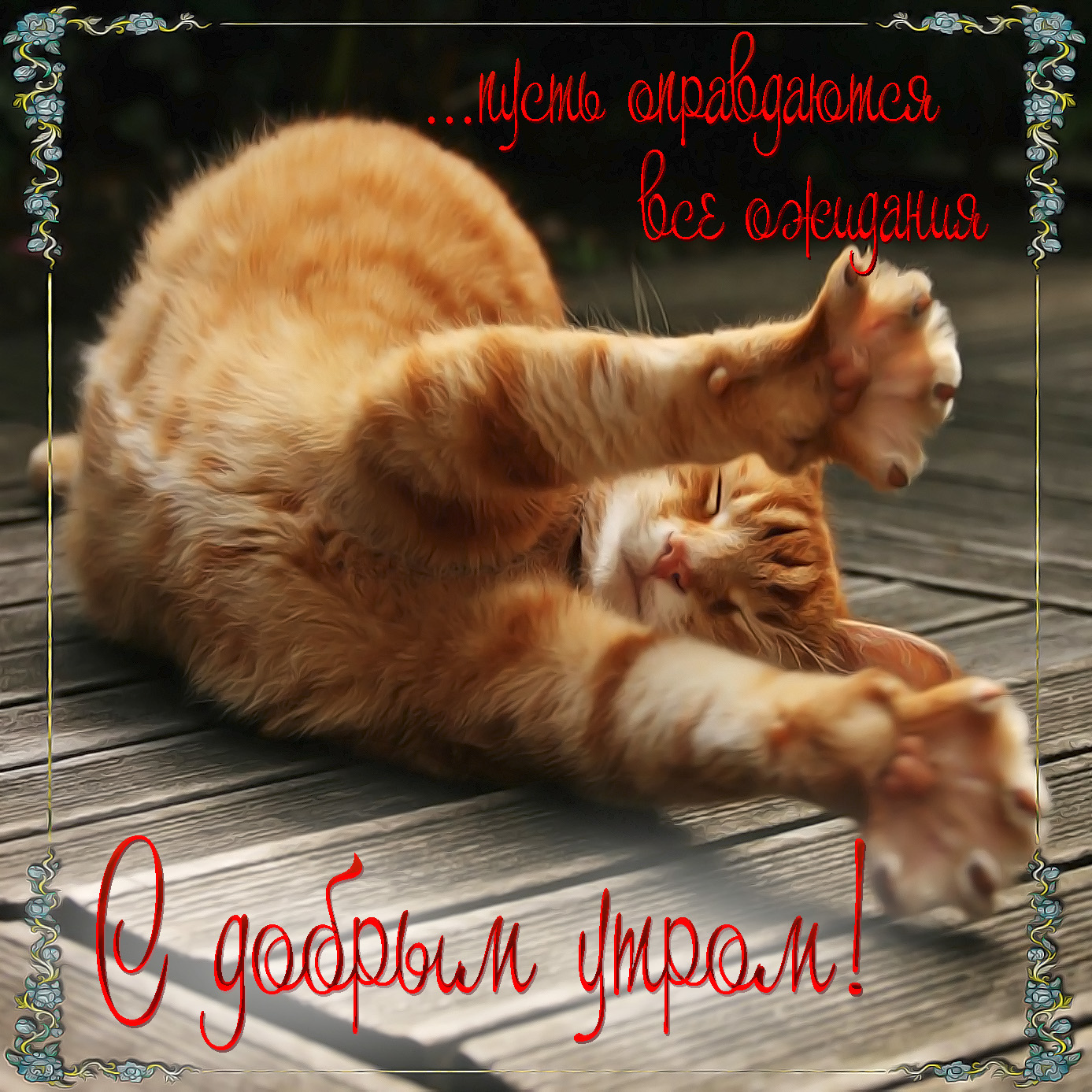 http://upforme.ru/uploads/001a/39/7c/175/737868.jpg