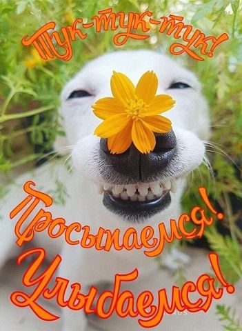 http://upforme.ru/uploads/001a/39/7c/175/77469.jpg