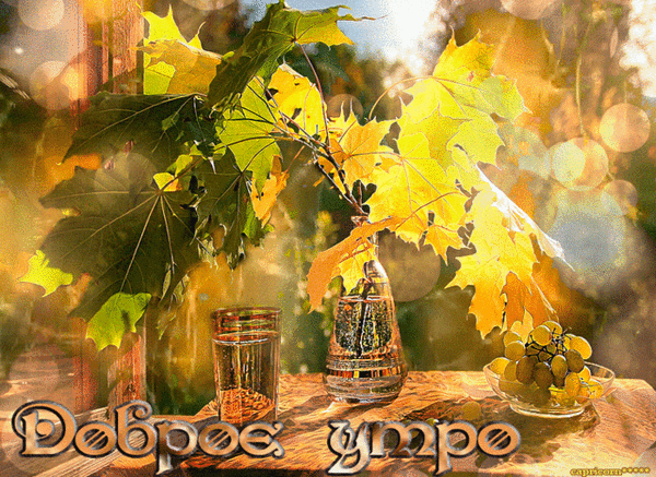 http://upforme.ru/uploads/001a/39/7c/175/944090.gif