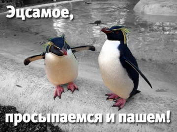 http://upforme.ru/uploads/001a/39/7c/175/t126268.jpg