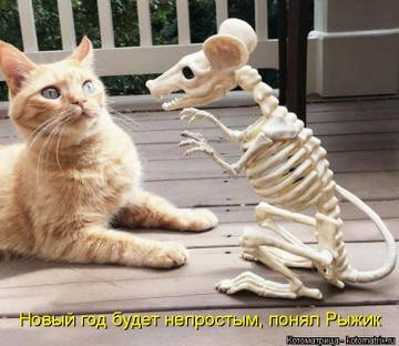 http://upforme.ru/uploads/001a/39/7c/175/t15407.jpg