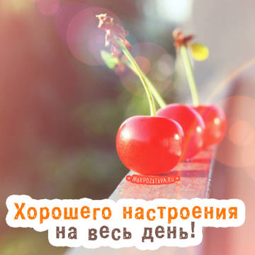 http://upforme.ru/uploads/001a/39/7c/175/t241200.jpg