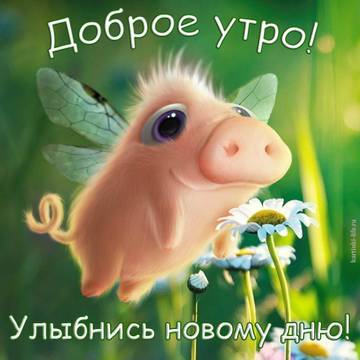 http://upforme.ru/uploads/001a/39/7c/175/t27953.jpg