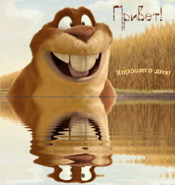 http://upforme.ru/uploads/001a/39/7c/175/t306975.gif