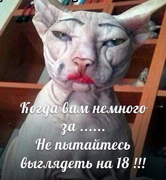 http://upforme.ru/uploads/001a/39/7c/175/t31299.jpg